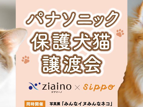 パナソニック保護犬猫譲渡会