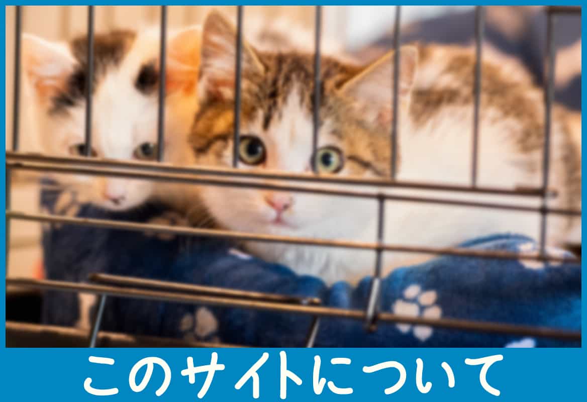 このサイトについて