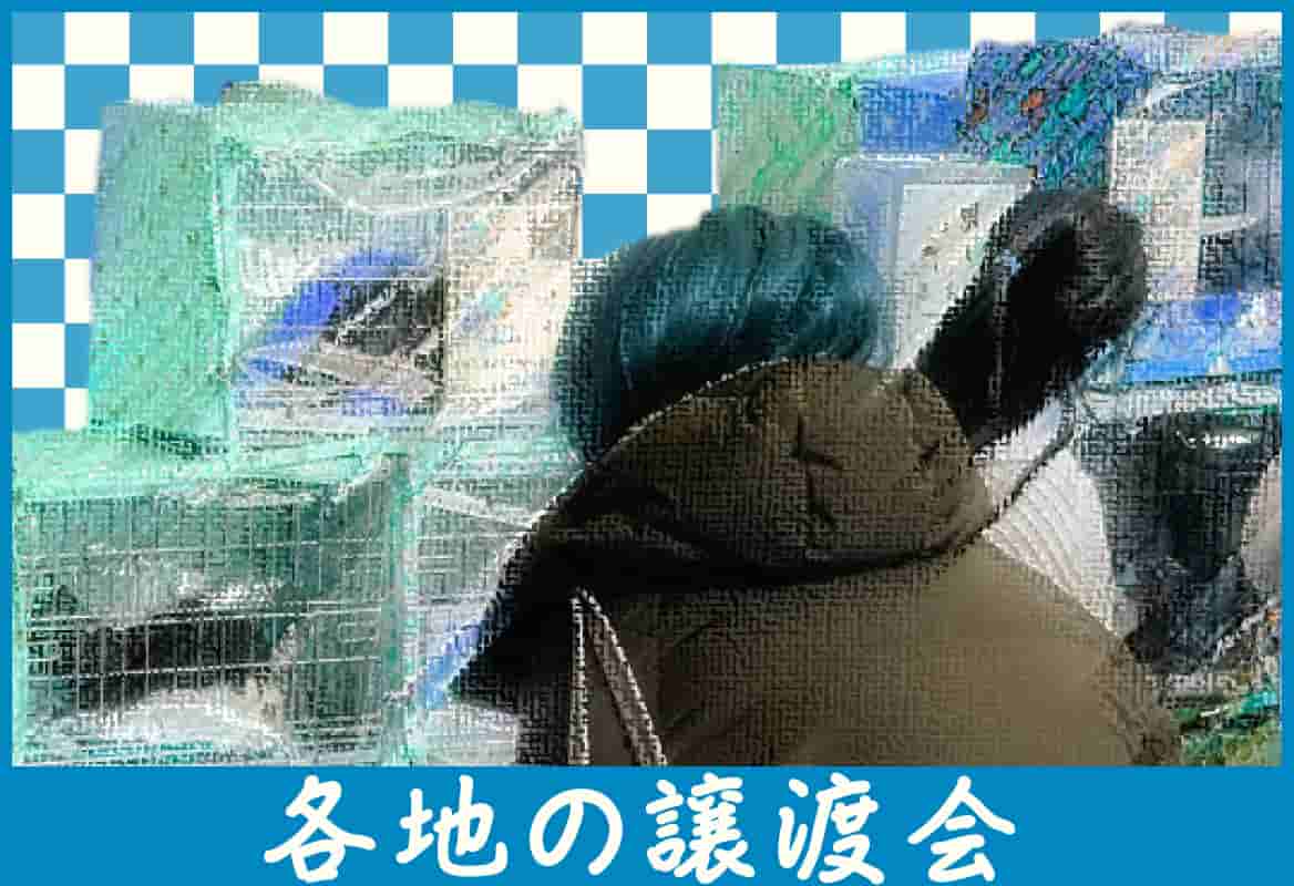 各地の譲渡会情報